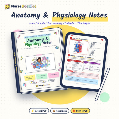 Anatomy & Physiology Notes: instant PDF, full-color paperback, or both