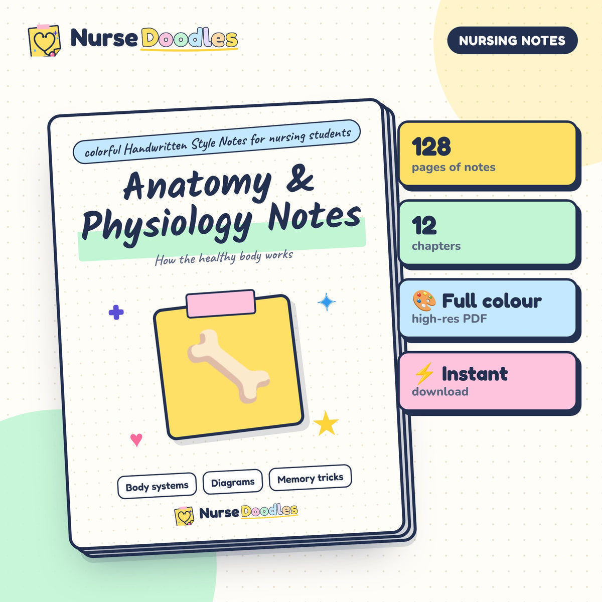 Anatomy & Physiology Notes – NurseDoodles Handwritten Style Notes PDF