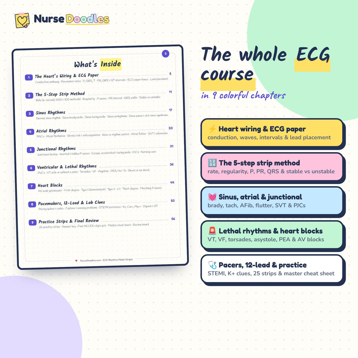 The whole course in colorful chapters: contents of ECG Rhythms Made Simple