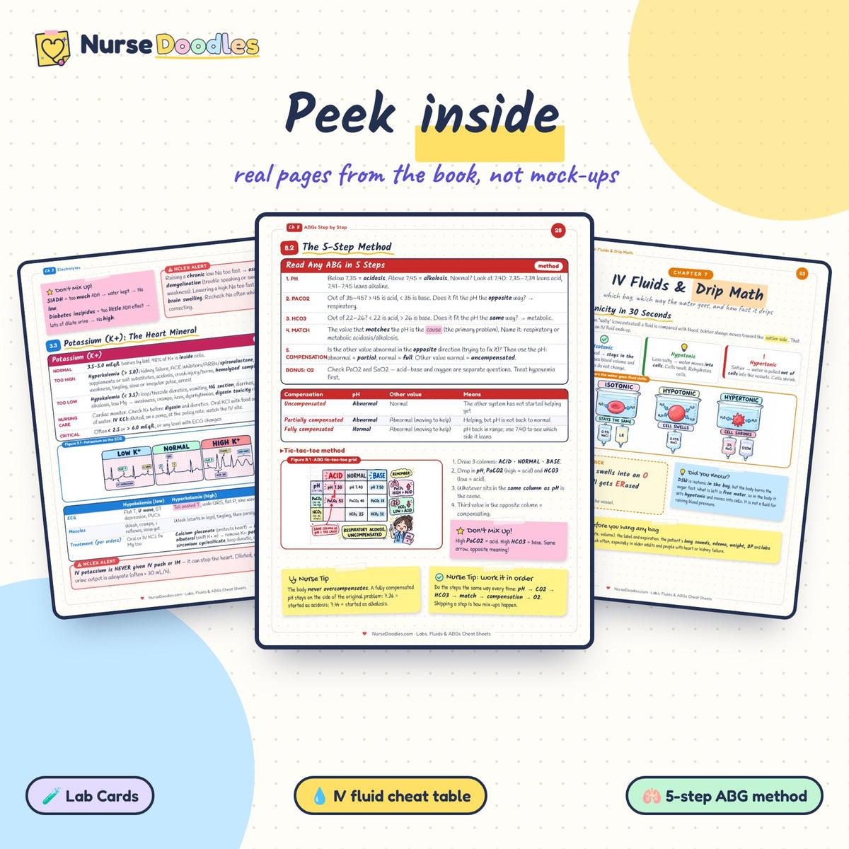 Peek inside: real pages from Labs, Fluids & ABGs Cheat Sheets