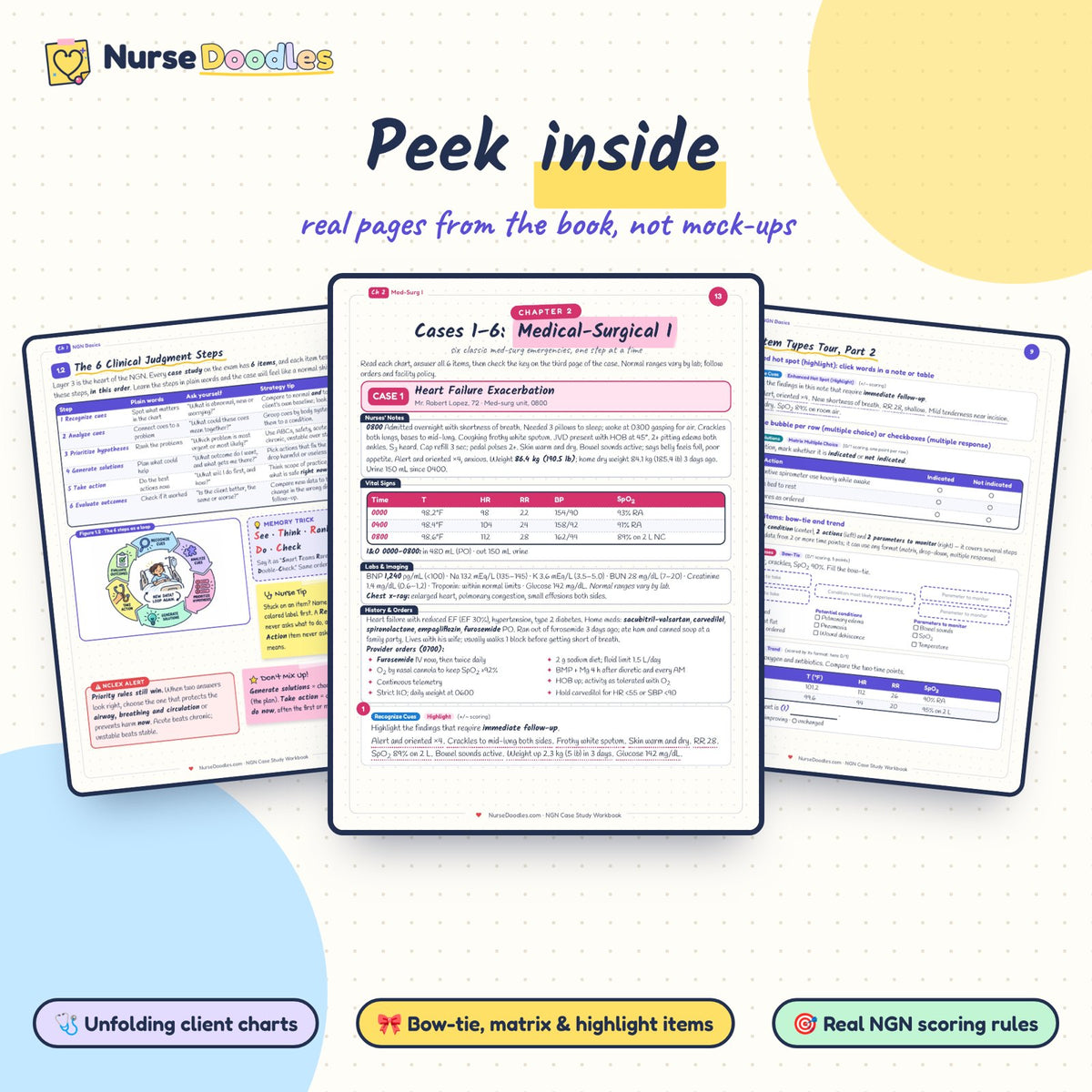 Peek inside: real pages from NGN Case Study Workbook