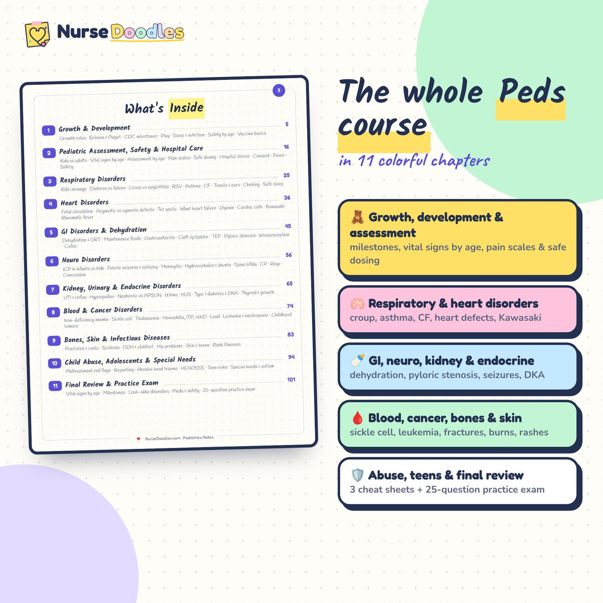 The whole course in colorful chapters: contents of Pediatrics Notes