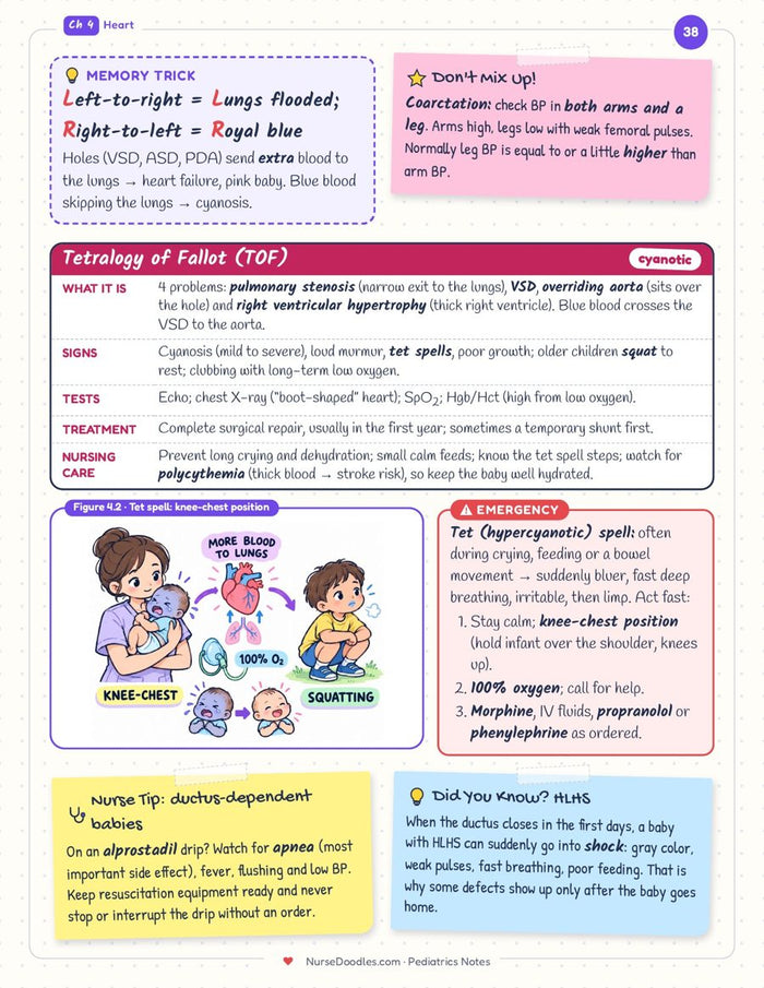 Ch 4 · Tetralogy of Fallot