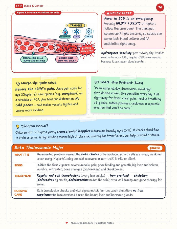 Ch 8 · Sickle cell